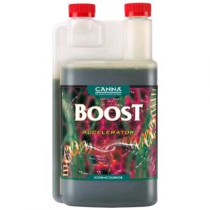 Canna - BOOST ACCELERATOR