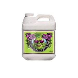 Big Bud - 0.25 l - Advanced Nutrients