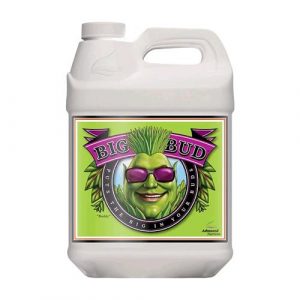 Big Bud - 0.5 l - Advanced Nutrients