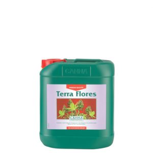 Canna - TERRA FLORES