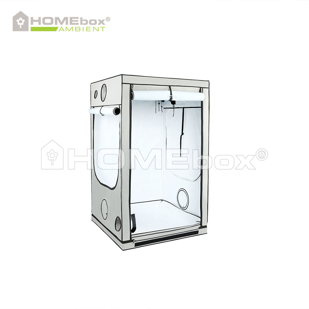 Homebox Ambient Q120