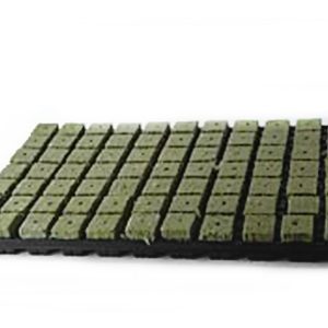 Grodan Stecklingtablett 77Stk.