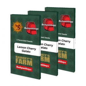 BARNEY'S FARM X BACKPACKBOYZ - LEMON CHERRY GELATO - 5 SEEDS