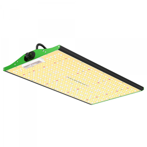 LED 250 W