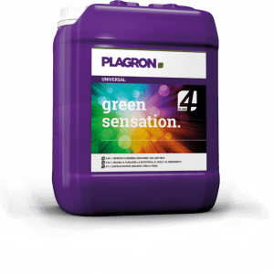 Green Sensation – 5 l – Plagron