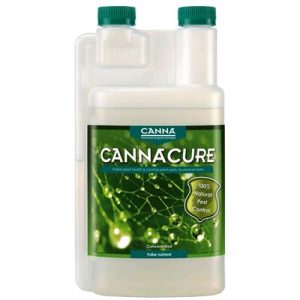 Canna - CURE