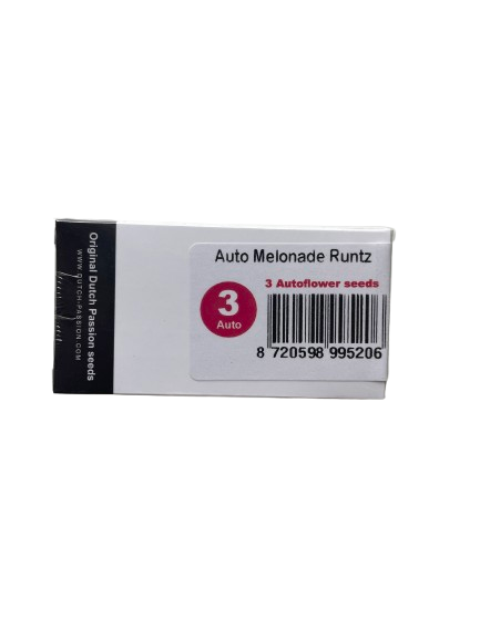 FEM SEEDS - AUTO MELONADE RUNTZ® DUTCH PASSION 3 FEMINISED SEEDS