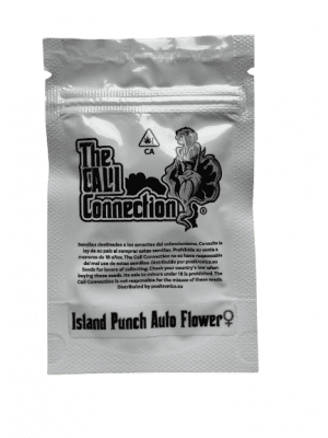 FEM SEEDS - ISLAND PUNCH AUTO THE CALI CONNECTION 6 FEMINISED SEEDS