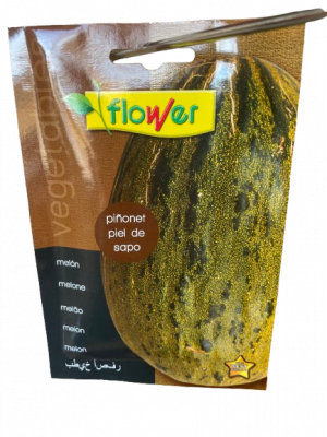 Melone Piel de Sapo