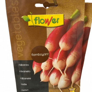 Radieschen Flamboyant 3