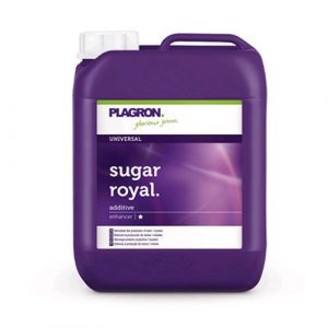 Sugar Royal – 5 l – Plagron