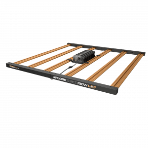 DimLux Xplore Series LED 730W