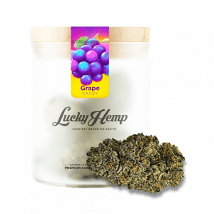 Candy Grape Glas