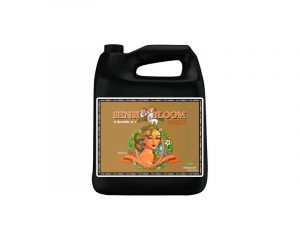 Sensi Coco Bloom B 10L – Advanced