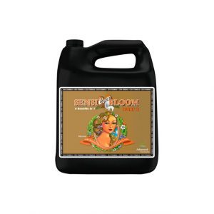 Sensi Coco Bloom B 10L – Advanced