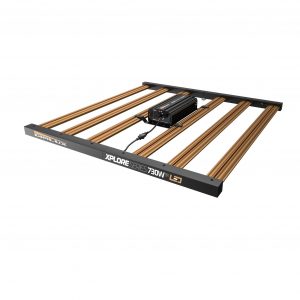 DIMLUX XPLORE SERIES 730W 9X LED EU