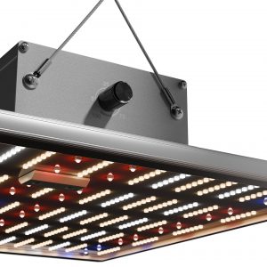 Caluma LED Force 150 W, 2.7 µmol/J