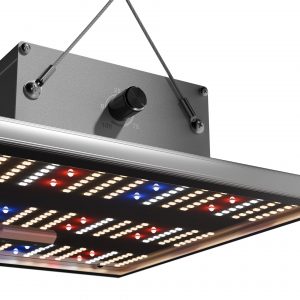 Caluma LED Force 75 W, 2.7 µmol/J