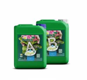 Dutchpro Erde/Soil Bloom A+B RO/S 5l