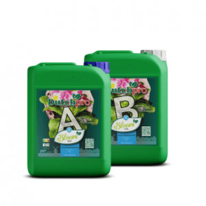Dutchpro Erde/Soil Bloom A+B RO/S 5l