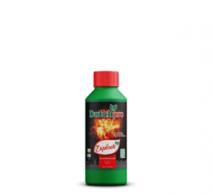 Dutchpro Explode 0,25l