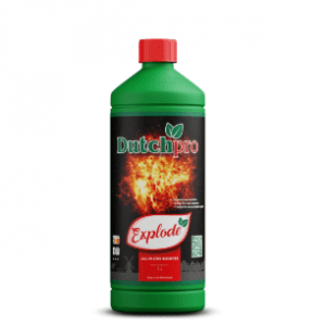 Dutchpro Explode 1l