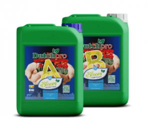 Dutchpro Hydro/Cocos Bloom A+B RO/ 5l