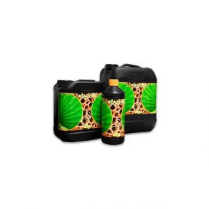 ATAMI B'CUZZ - ATAzyme 10L