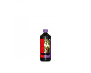 ATAMI B'CUZZ - Booster Coco Universal