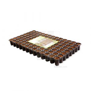 Eazy Plug Anzuchtwürfel CT104C, rund, 3,5 x 5,5 cm, Tray mit 104 St.