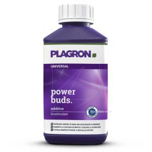 Power Buds – 0.1 l – Plagron