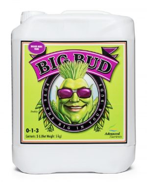 Big Bud – 10L – Advanced Nutrients