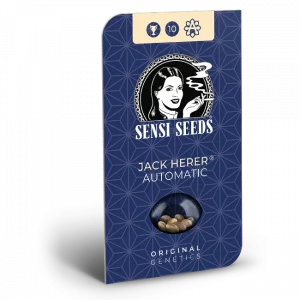 Jack Herer® Fem. - 3 Samen - Sensi Seeds