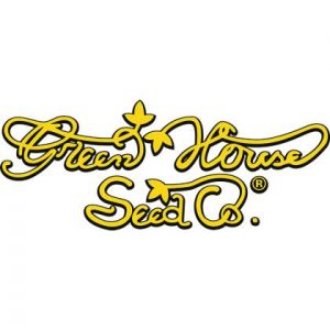 1 Samen – Mango x Big Bang Auto – Green House