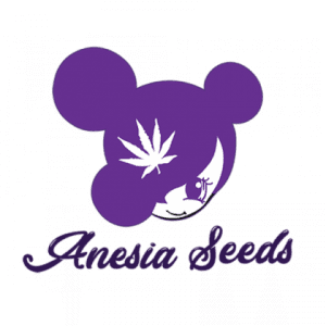 5 Samen – Future #1® – Anesia Seeds